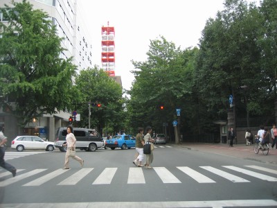 IMG_1156.jpg