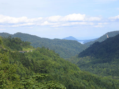 IMG_1281.jpg