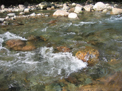 IMG_1290.jpg