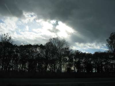 IMG_1445.jpg