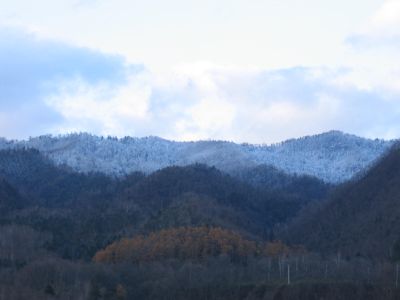 IMG_1497.jpg