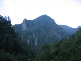 IMG_3245.jpg