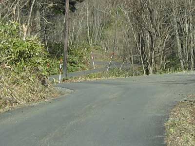 ninew01.jpg