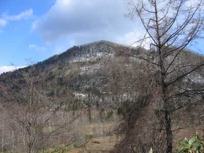 ninew04.jpg